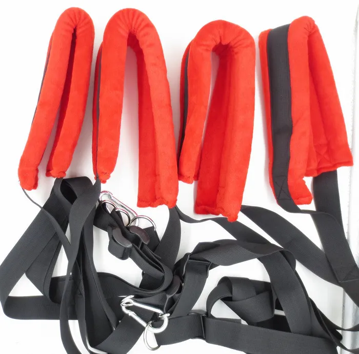 Own Pleasures Couples BDSM Sex Furniture Metal Stent Sex Swing Chair
