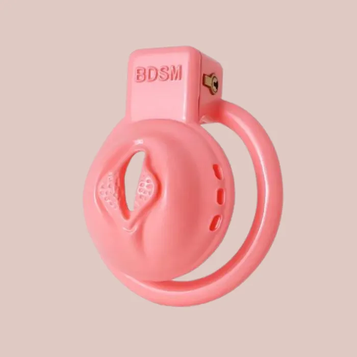 Male Sex Toys Sissy Pussy BDSM Chastity Cage Kit House of Chastity