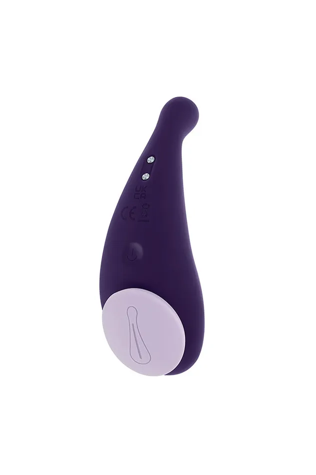 Evolved Vibrators Evolved Panty Party Remote Controlled Panty Vibrator Purple