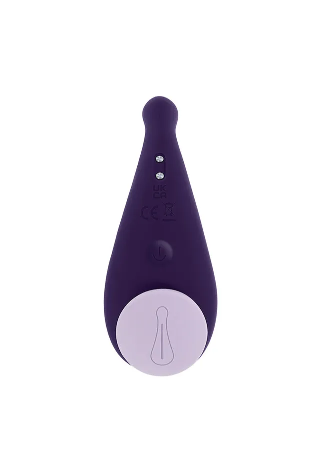 Evolved Vibrators Evolved Panty Party Remote Controlled Panty Vibrator Purple