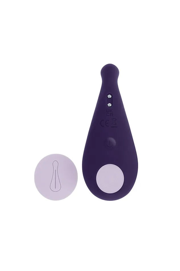 Evolved Vibrators Evolved Panty Party Remote Controlled Panty Vibrator Purple