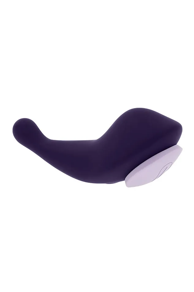Evolved Vibrators Evolved Panty Party Remote Controlled Panty Vibrator Purple