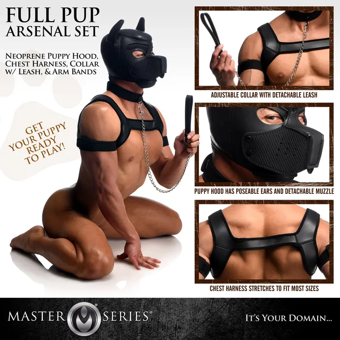 MASTER SERIES FULL PUP ARSENAL SET XR Brand Male Sex Toys