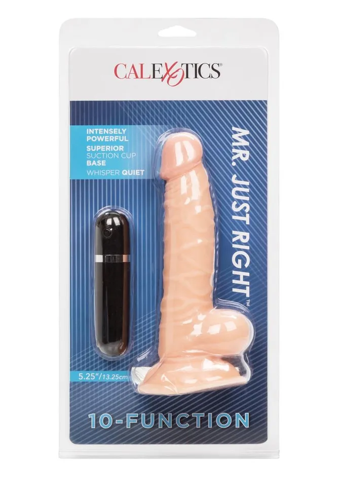 Lifelike Dongs Female Sex Toys Mr Just Right Vibrating Dildo with Bullet