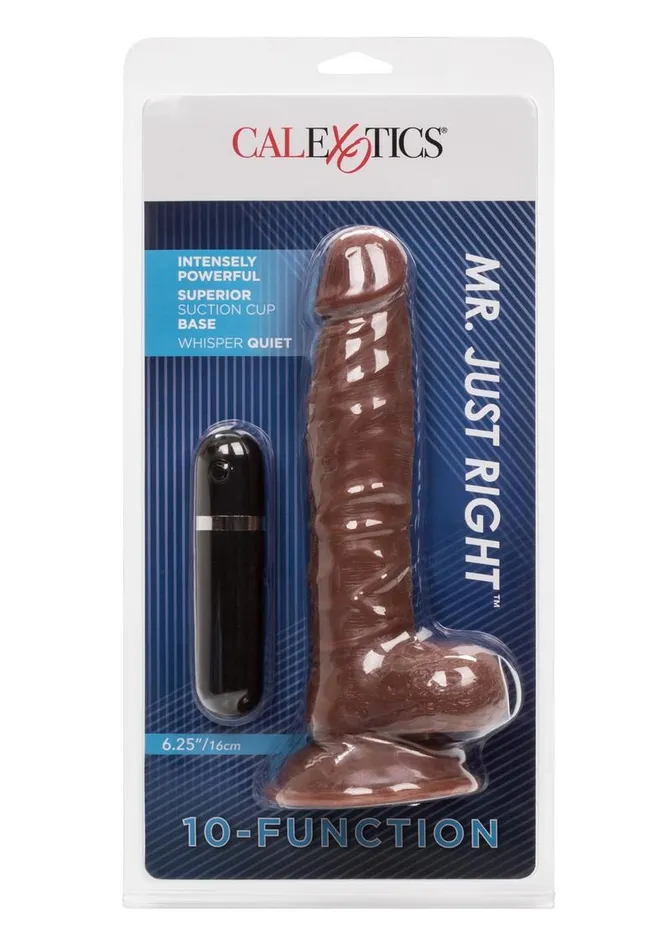 Lifelike Dongs Female Sex Toys Mr Just Right Vibrating Dildo with Bullet