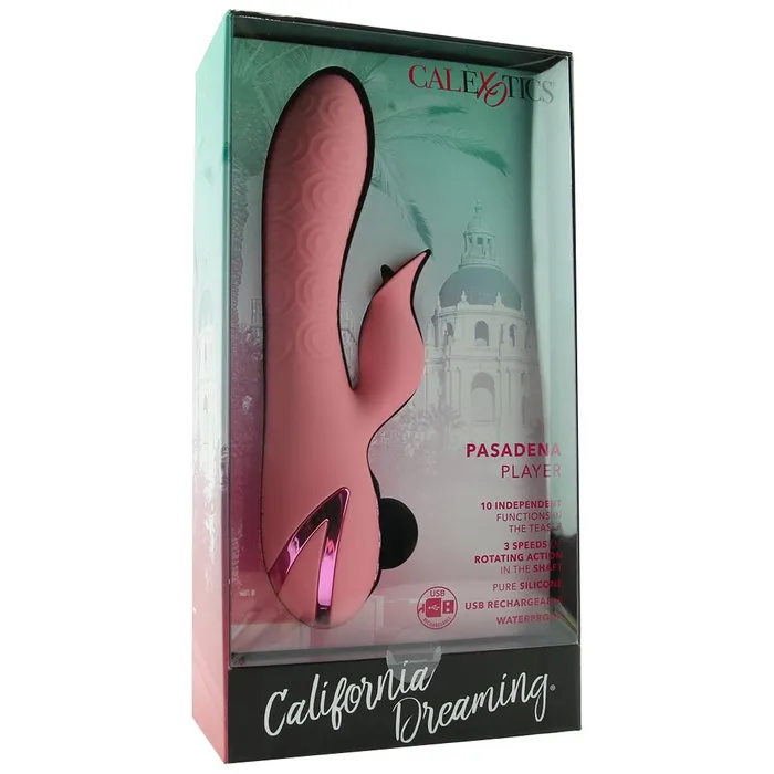 Pink Cherry Vibrators California Dreaming Pasadena Player Vibe