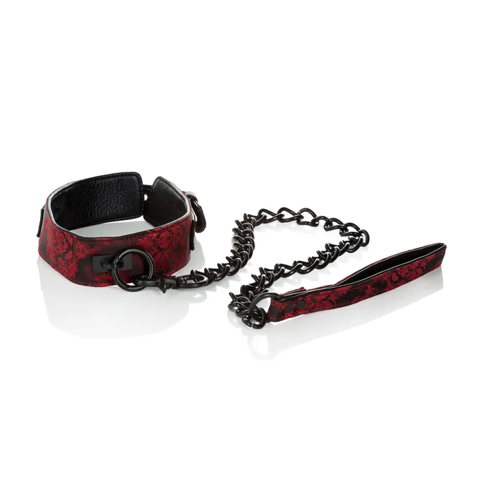 Scandal Collar With Leash CalExotics Male Sex Toys