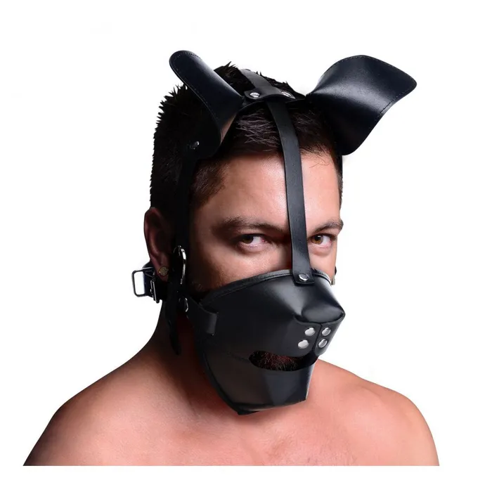 Couples Master Series Pup Puppy Play Hood and Breathable Ball Gag