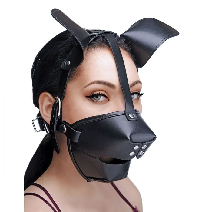 Couples Master Series Pup Puppy Play Hood and Breathable Ball Gag