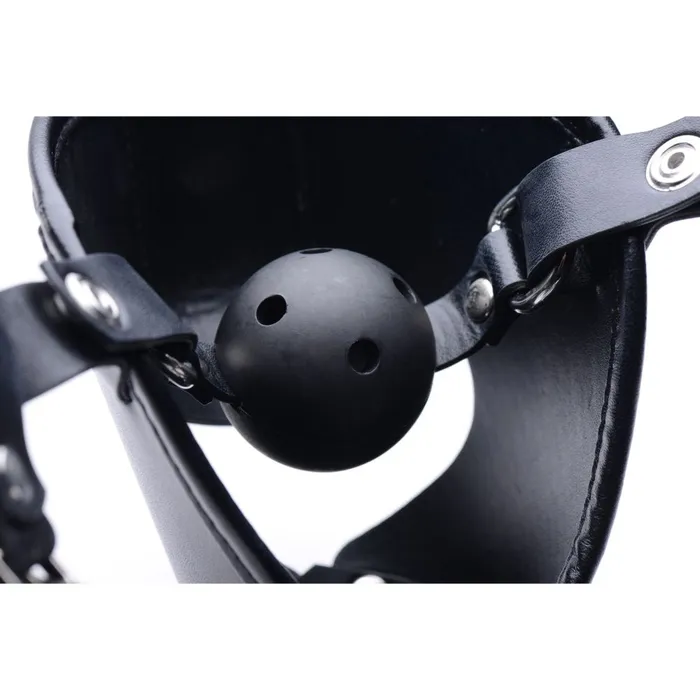 Couples Master Series Pup Puppy Play Hood and Breathable Ball Gag