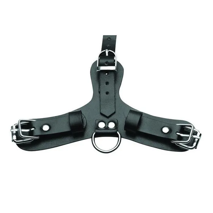 Couples Master Series Pup Puppy Play Hood and Breathable Ball Gag