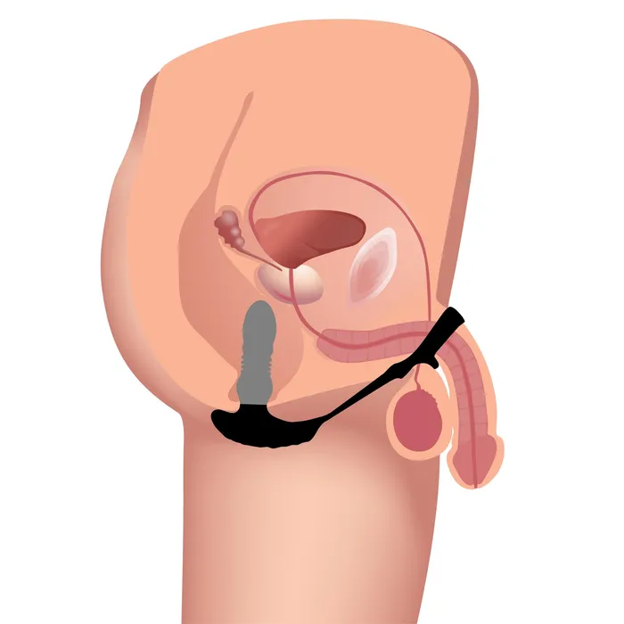 Couples Thunderplugs Thrusting Vibrator with Cock and Ball Ring and Remote