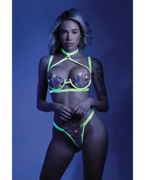 Dildos Glow By Fantasy Lingerie Glow Black Light Embroidered Harness Bra Leg Garterbelt GString Neon Chartreuse LXL Dildos Glow By Fantasy Lingerie Glow Black Light Embroidered Harness Bra Leg Garterbelt GString Neon Chartreuse LXL