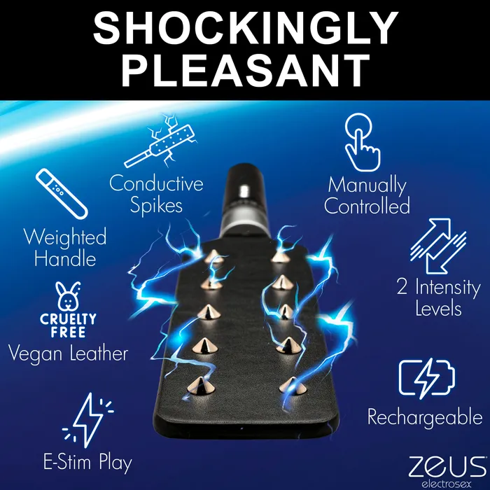 Estim Spiked Paddle Zeus Electrosex Vibrators