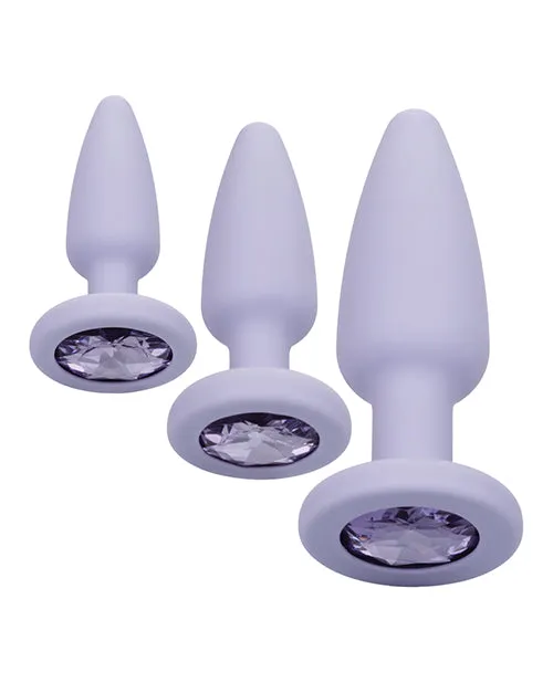 Female Sex Toys First Time First Time Crystal Booty Kit Silicone Butt Plugs 3 piece Purple