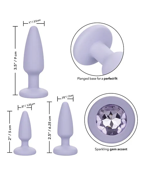 Female Sex Toys First Time First Time Crystal Booty Kit Silicone Butt Plugs 3 piece Purple