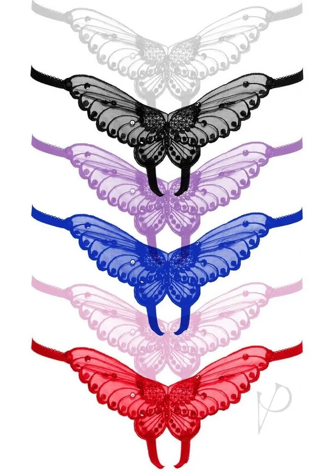 Leg Avenue Plus Size Leg Avenue Butterfly Crotchless with Pearl Sequin Detail 12 pack Plus Size Assorted Leg Avenue Plus Size Leg Avenue Butterfly Crotchless with Pearl Sequin Detail 12 pack Plus Size Assorted