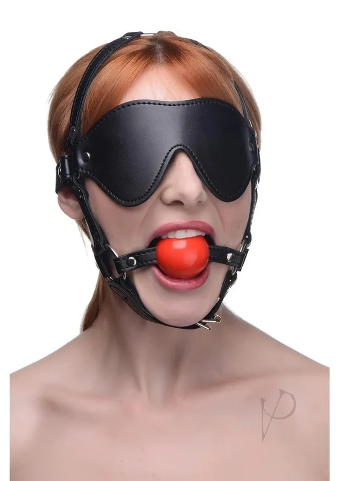 Restraints Blindfold Harness with Ball Gag BlackRed Strict