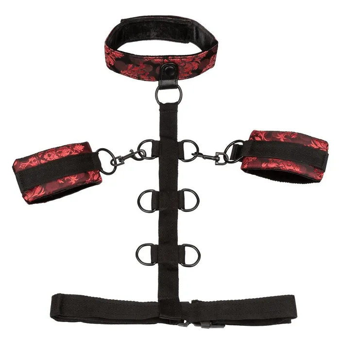 Anal Scandal Collar Body Restraint Red CalExotics Anal Scandal Collar Body Restraint Red CalExotics