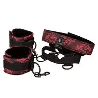Anal Scandal Collar Body Restraint Red CalExotics Anal Scandal Collar Body Restraint Red CalExotics