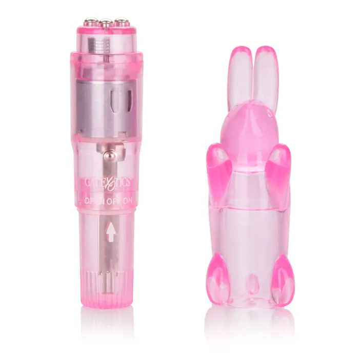 Shanes World Pocket Party Pink CalExotics Vibrators